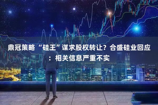 鼎冠策略 “硅王”谋求股权转让？合盛硅业回应：相关信息严重不实