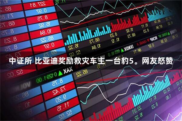 中证所 比亚迪奖励救灾车主一台豹5。网友怒赞