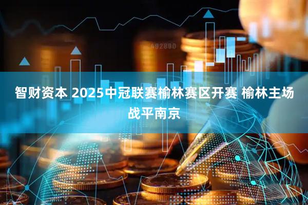 智财资本 2025中冠联赛榆林赛区开赛 榆林主场战平南京